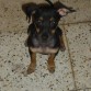 que hermosurita.